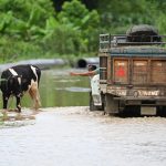 Reporte del 13 de marzo detalla trece carreteras bloqueadas en Ecuador por el invierno